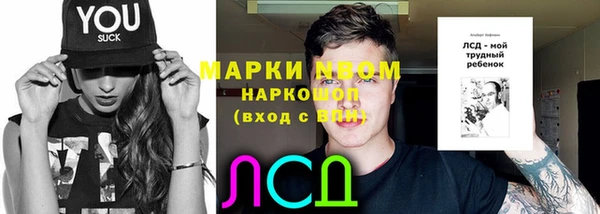 стафф Касимов