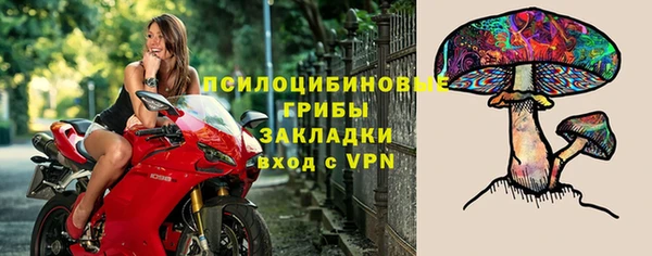 прущий лед Киреевск